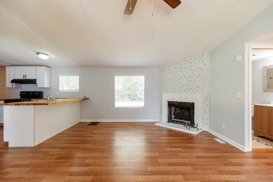 502 Gallie Lissimore Rd, Adel, GA 31620 - photo 3