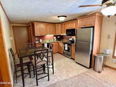 143 E Valley Point Ln unit 1323, Claysburg, PA 16625 - photo 6