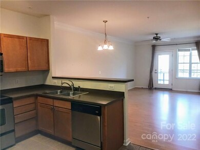 622 Appeldoorn Cir unit 622, Asheville, NC 28803 - photo 5