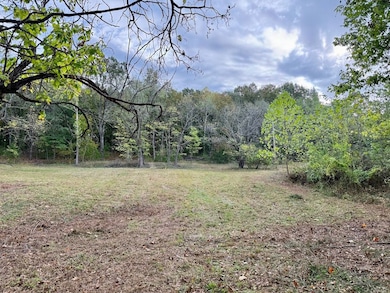 8994 Lawrence 1210, Mount Vernon, MO 65712 - photo 3