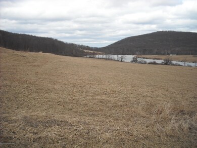 23 Middle Mountain Dr, Tunkhannock, PA 18657 - photo 4