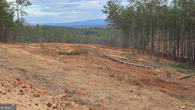 108 Staunton Ct, Ellijay, GA 30540 - photo 4