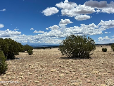 70 Off of Volcano, Ash Fork, AZ 86320 - photo 7