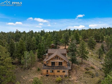4665 W Highway 24, Florissant, CO 80816 - photo 5