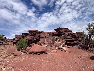 000 N5158, Concho, AZ 85924 - photo 7