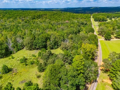 14799 Farm To Market 315, Palestine, TX 75803 - photo 7