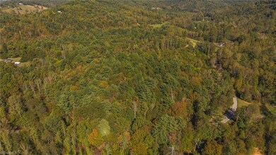 00 E Brocktown Rd, Moravian Falls, NC 28654 - photo 7