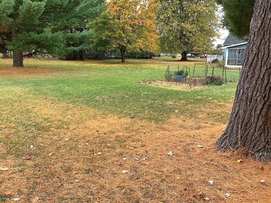 216 Forrest Side and Back Yard with Comp