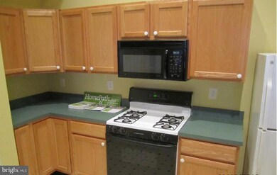 6133 Springwater Place unit 1400L, Frederick, MD 21701 - photo 5