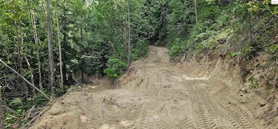 NNA Juniper Lane 20 Acres, Naples, ID 83847 - photo 7