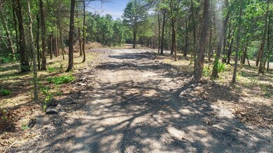 LOT 4 Walker Mountain Rd, Heavener, OK 74937 - photo 6