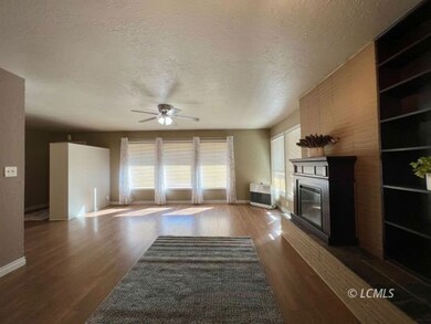 Light-Filled Living Room