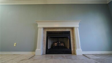 Gas Log Fireplace