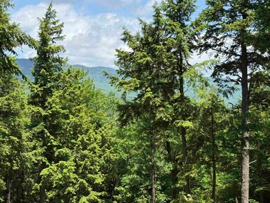 Lot 15 Kelly Way, Campton, NH 03223 - photo 6