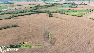 15500 555th St, Lucas, IA 50151 - photo 4