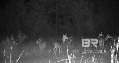 30141 Seed Orchard Rd unit 6, Robertsdale, AL 36567 - photo 3