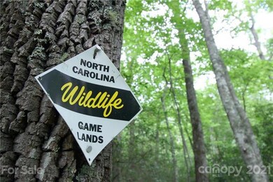 Adjoins Nat. Forest to West.