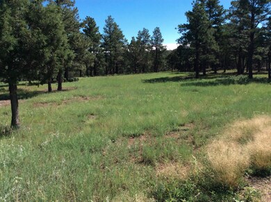 33070 Meadow Ridge Ln unit 3/Lots B-6 & B-, Trinidad, CO 81082 - photo 7