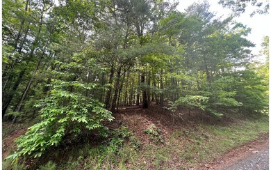 Additional View