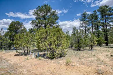 paxmanphotography_PAX_0324