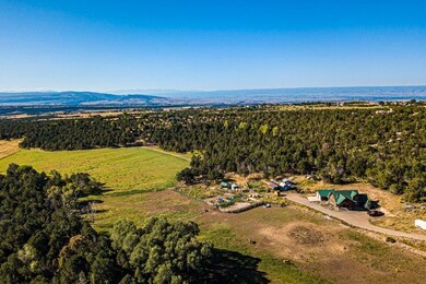 17586 2550 Rd, Cedaredge, CO 81413 - photo 7