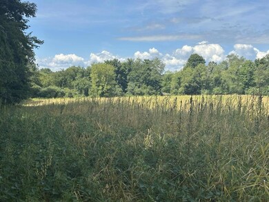 0 V/L Michigan 66, Athens, MI 49011 - photo 5