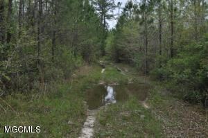 00 Interior Land Bayou La Croix, Bay Saint Louis, MS 39520 - photo 2