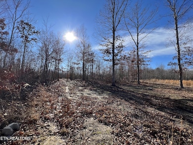 Lot J McCartt Ridge Ln, Sunbright, TN 37872 - photo 4