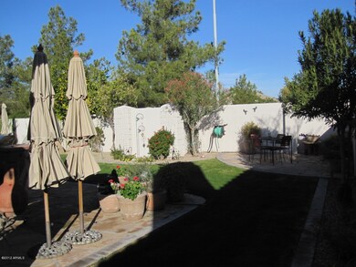 Resort back yard