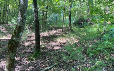 Additional View