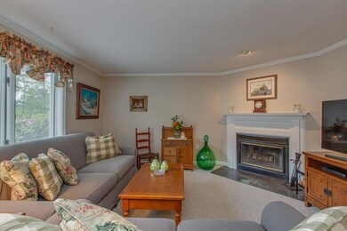 lovely light and wood burning fireplace