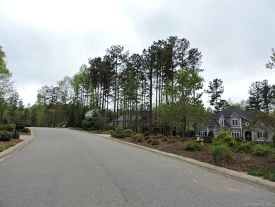 Lot 74 Cottonwood Dr, Denver, NC 28037 - photo 6