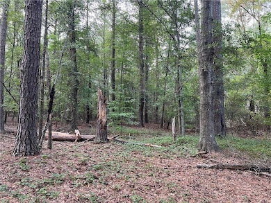 View of tree filled area