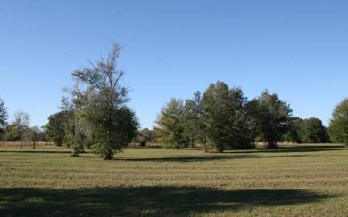 LOT63 Mandiba Dr, Lake City, FL 32024 - photo 3