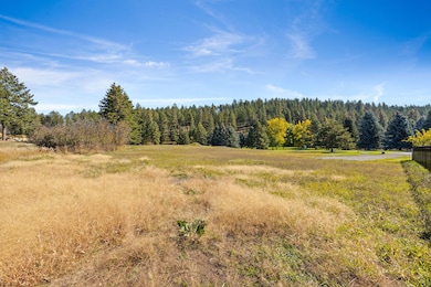 351 Chapman Ln, Bigfork, MT 59911 - photo 7