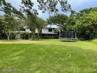 back yard
