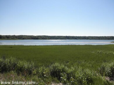 Beautiful Views Down Lake Tashmoo Beach