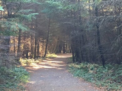 Lot 30 Foxhole Rd, Point Roberts, WA 98281 - photo 6