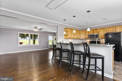 35 Peddlers Ln, Earleville, MD 21919 - photo 5