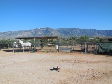 Horse property with view