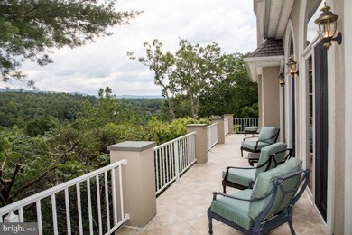 397 Linda Ln, Mount Jackson, VA 22810 - photo 5