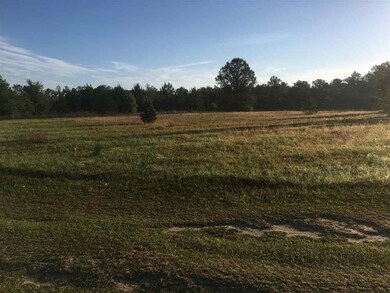 0 Standley Rd unit 280163, Monticello, FL 32344 - photo 3