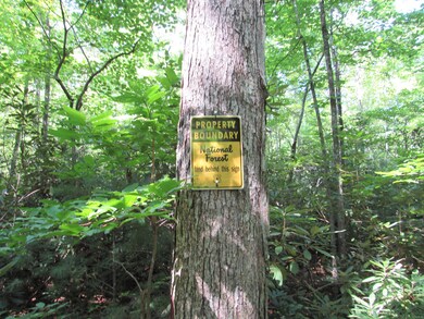 0 Stantons Ln, Greeneville, TN 37743 - photo 5