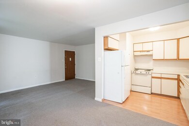 1100 Tyson Ave unit A5, Roslyn, PA 19001 - photo 5