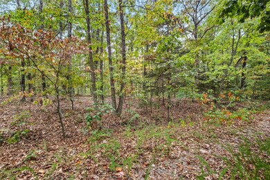 Lots 1 & 2 Kent Ln, Bella Vista, AR 72714 - photo 4