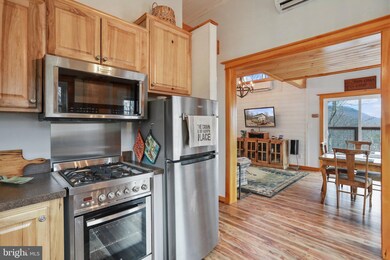 46 LAUREL Laurel Run, Mathias, WV 26812 - photo 3