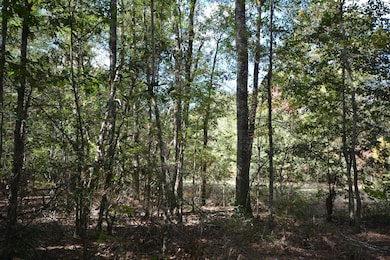 1685 N Margaret, Kirbyville, TX 75956 - photo 6