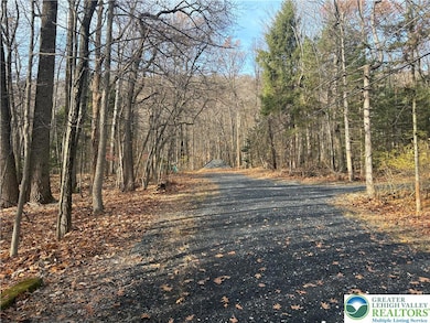 1433 Deer Path Dr, Walnutport, PA 18088 - photo 4