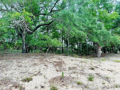 184 River Chase Rd, Apalachicola, FL 32320 - photo 3