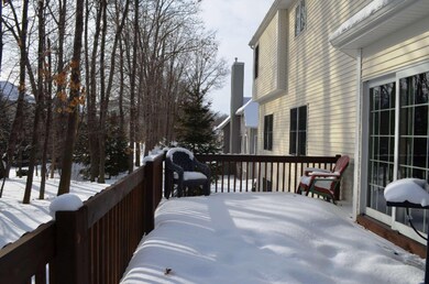 snow-20150222_04